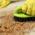 Top 5 Carpet Stains and How to Tackle Them