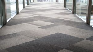 Freshly cleaned commercial carpet in a business space, showcasing professional deep-clean results.