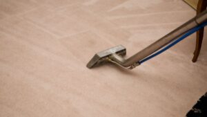 Professional carpet cleaner working on residential carpet with high-powered equipment, restoring carpet fibers and enhancing indoor cleanliness.